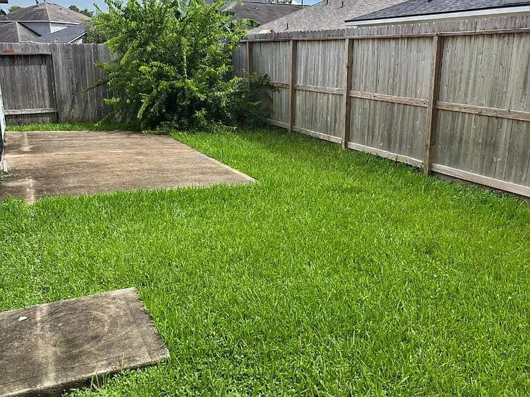 18803 Prairie Larkspur Dr — Photo 11