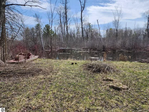 7549 Cove Rd, Hale, MI 48739