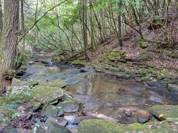 308 Timberwood Trce Lot 308, Monteagle, TN 37356
