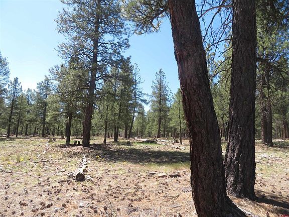 4th image of 1445 Trails Boulevard