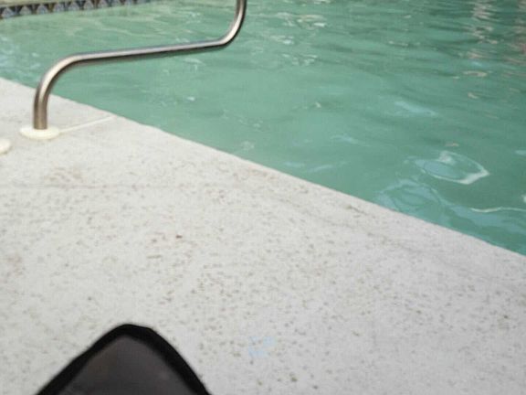 Pool approximately 20x40