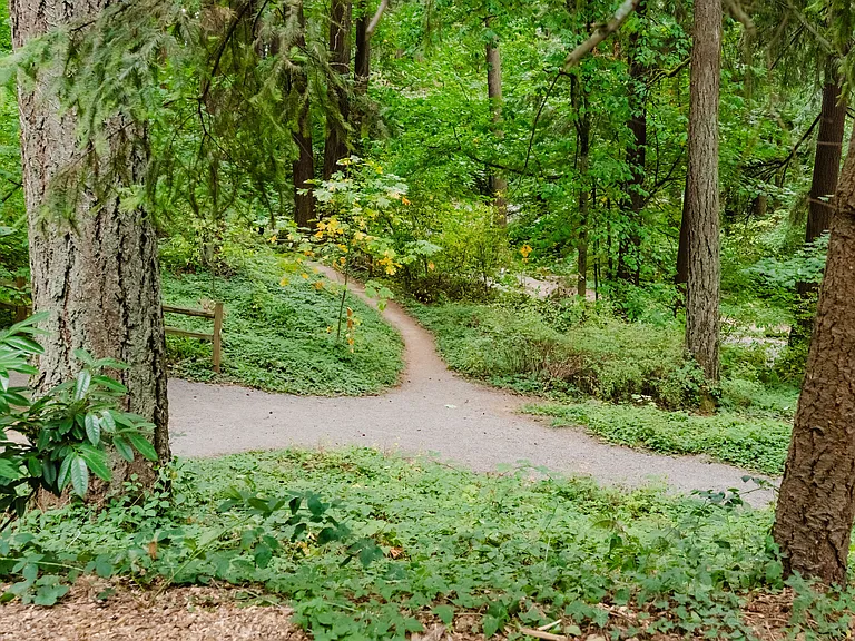 Mt. Tabor Park | Buckman Neighborhood