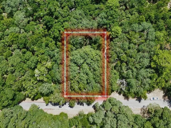 Fisher Lane Dr Lot 29, Ocklawaha, FL 32179