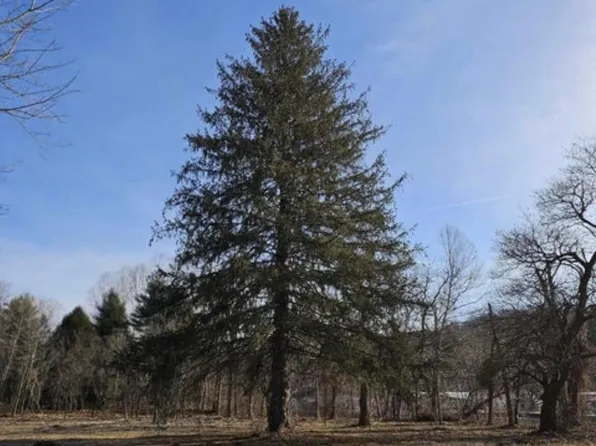 4266 State Route 220 Lot A, Waverly, OH 45690