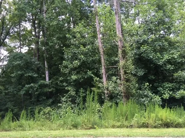 LOT 1660th Point #1661, Westminster, SC 29693