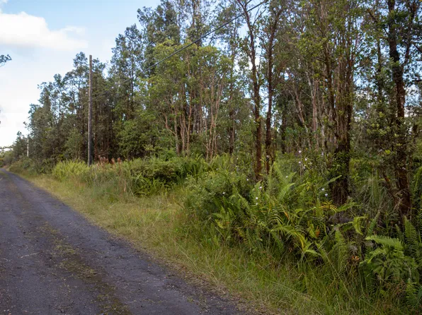 11-1775 Wailele St Lot 17, Mountain View, HI 96771