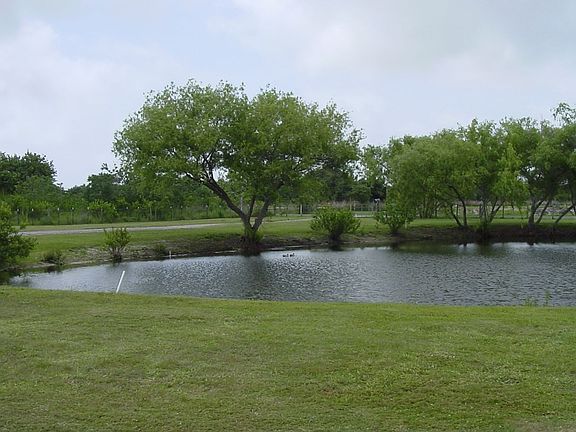 View from front of home