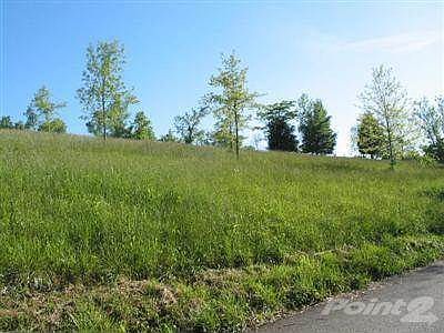 Road at left boundary looking right