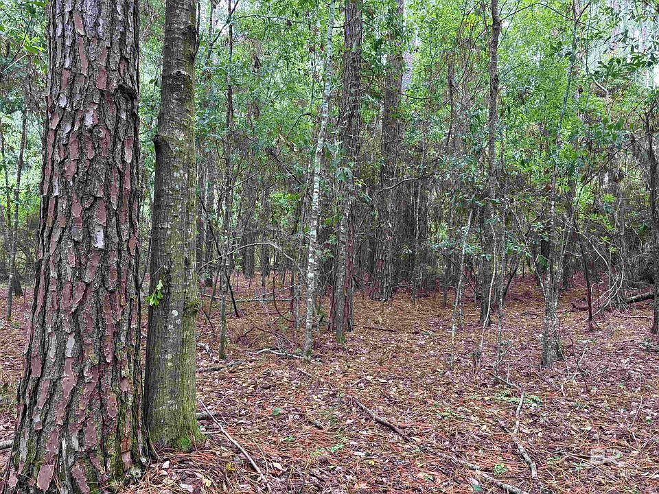 1st image of 5 County Road 48