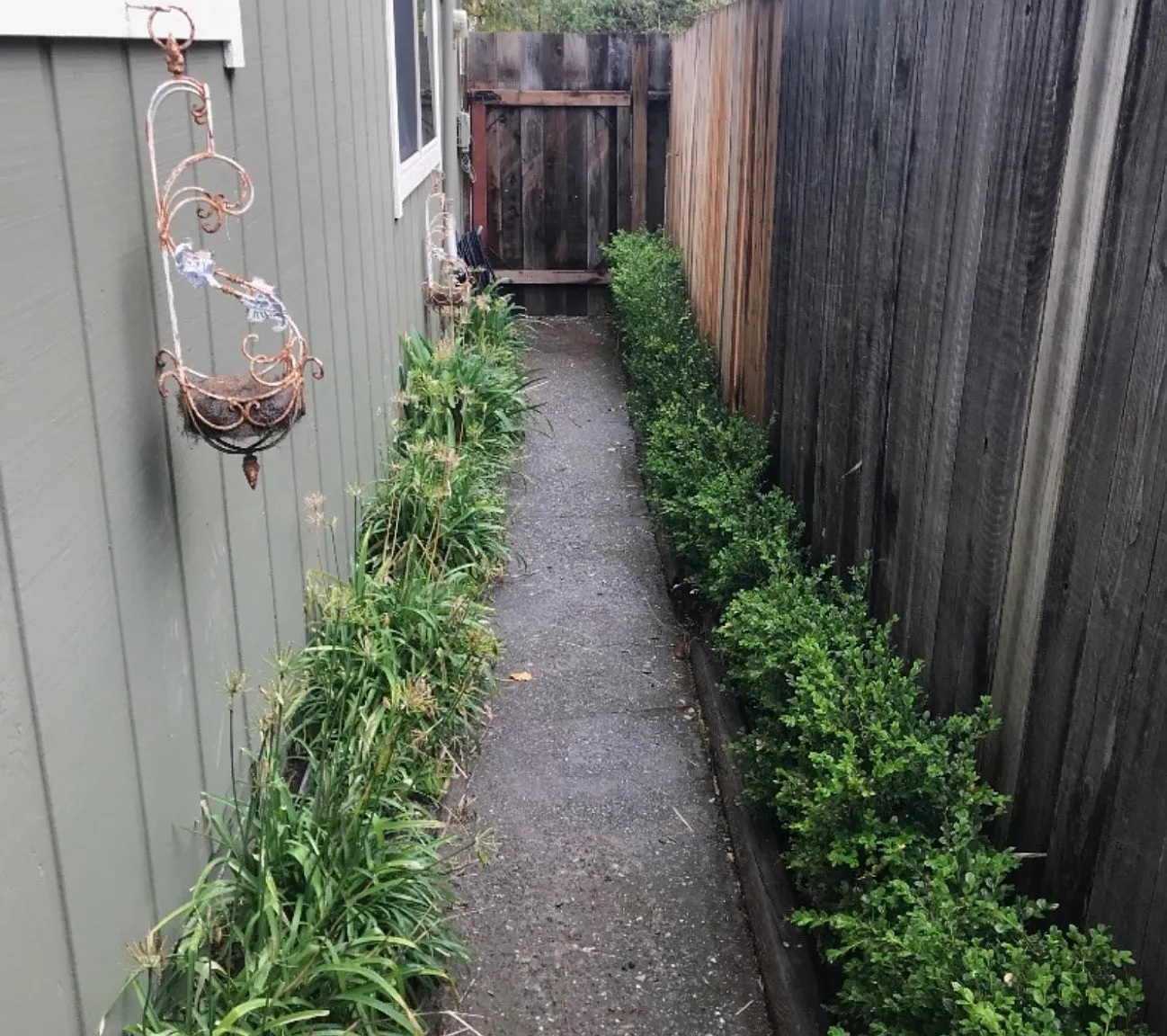 Flynn St, Sebastopol — Photo 2