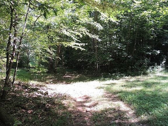 3rd image of 0 Corban St