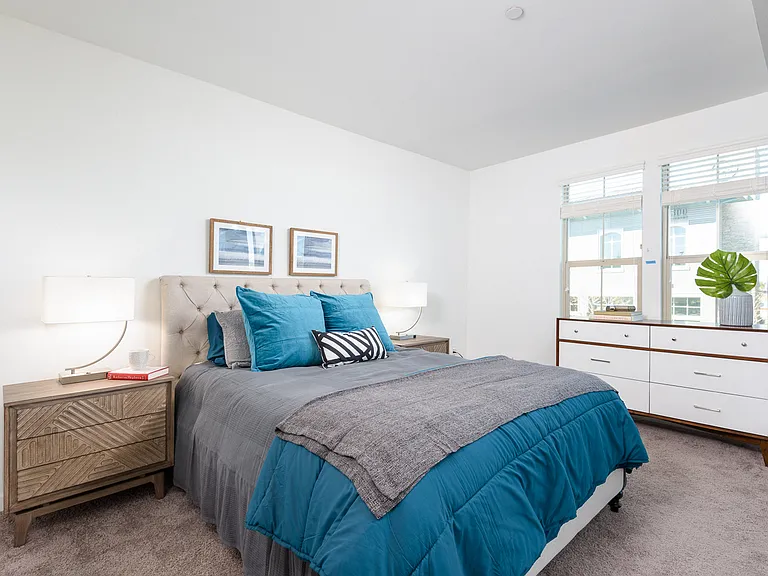 Plush carpet in bedrooms and closets