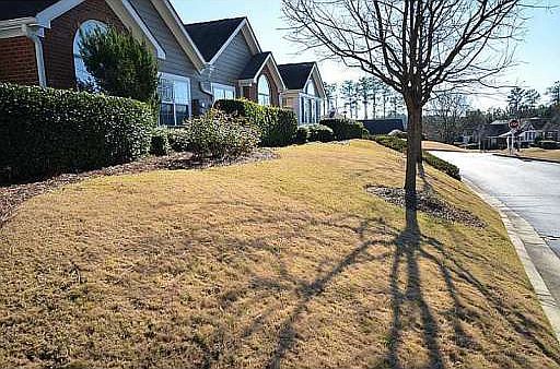 5th image of 2704 Vintage Reserve Ln #3