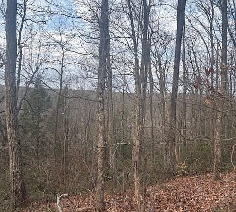 4th image of 0 Davidson Dr Lot 22