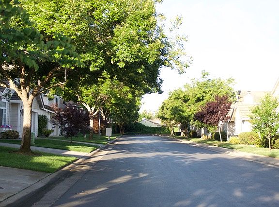 5th image of 318 Brightstone Cir
