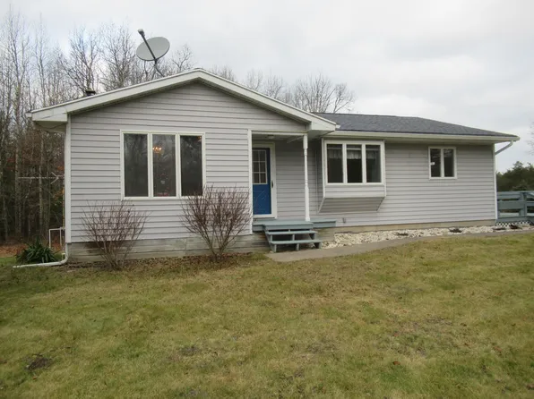 23296 W Howard City Edmore Rd, Howard City, MI 49329