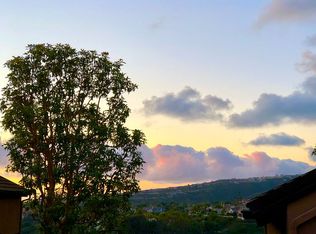 15 Sunbridge Pl, Dana Point, CA 92629