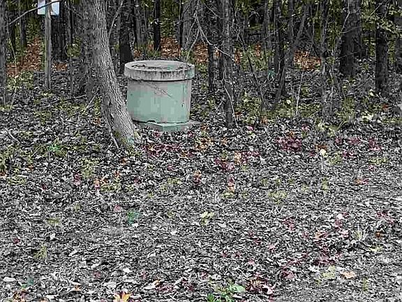 4th image of 58 Blue Bird Dr