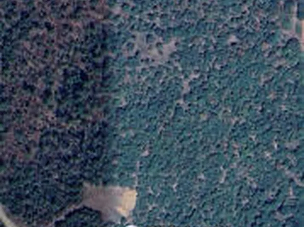 (undisclosed Address), Booneville, AR 72927