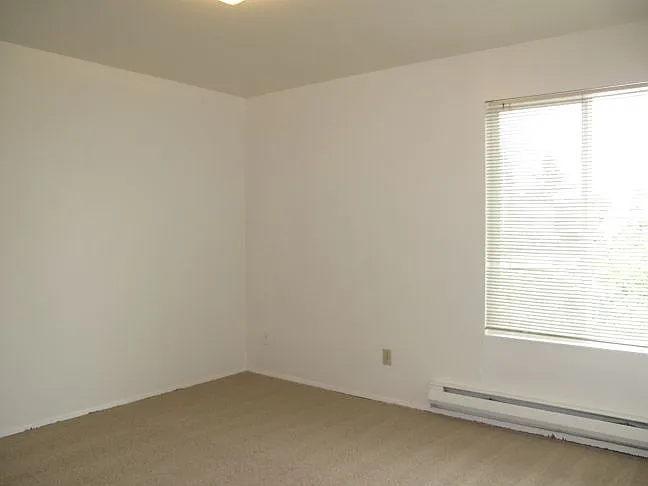 Birchwood Apartments — Photo 2