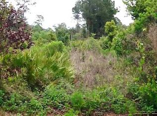 9 Royal Dr, Eustis, FL 32726