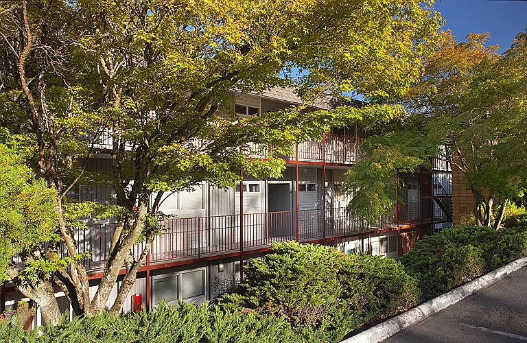 Woodridge Park — Photo 19