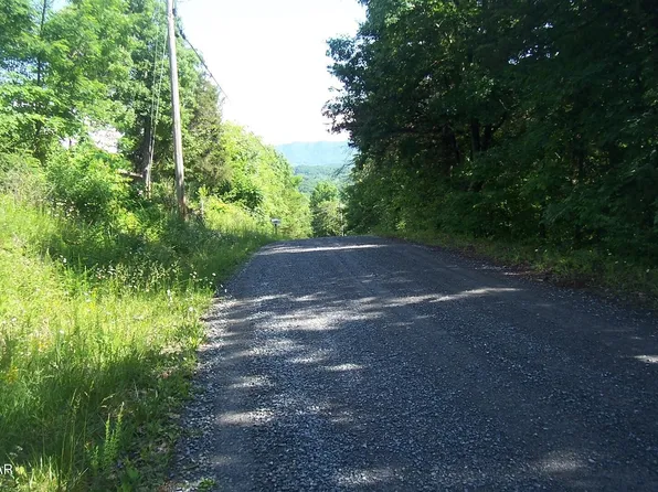21 Clearwood Rd, Newport, TN 37821