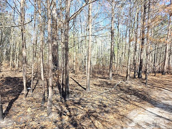 3rd image of 5 Pompey Rd