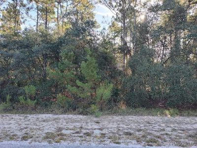 5417 N Crossgate Point, Beverly Hills, FL, 34465