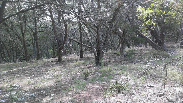 1st image of 132 S Turkey Spur