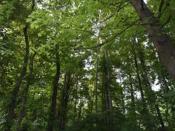 6127 Lincoln St, Coloma, MI 49038