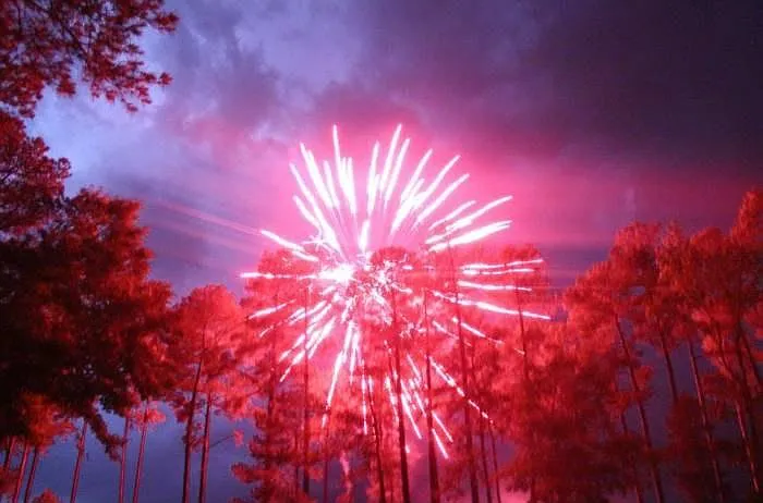 Neighbors doing fireworks!