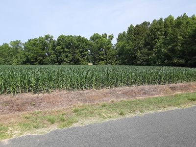 (Undisclosed Address), Santee, SC, 29142