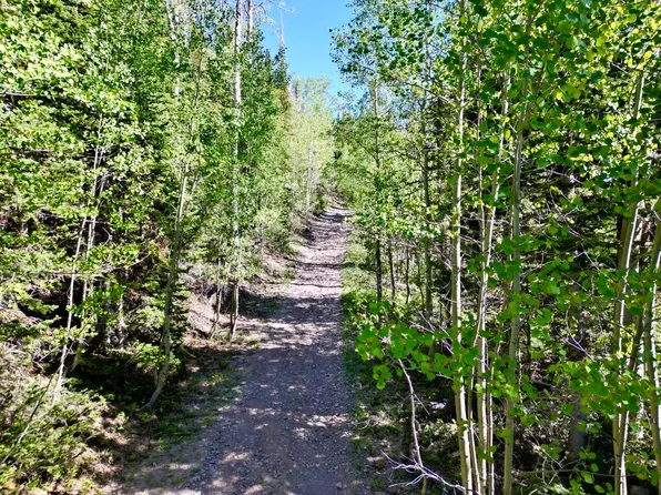 402 N Forest Dr, Brian Head, UT 84719