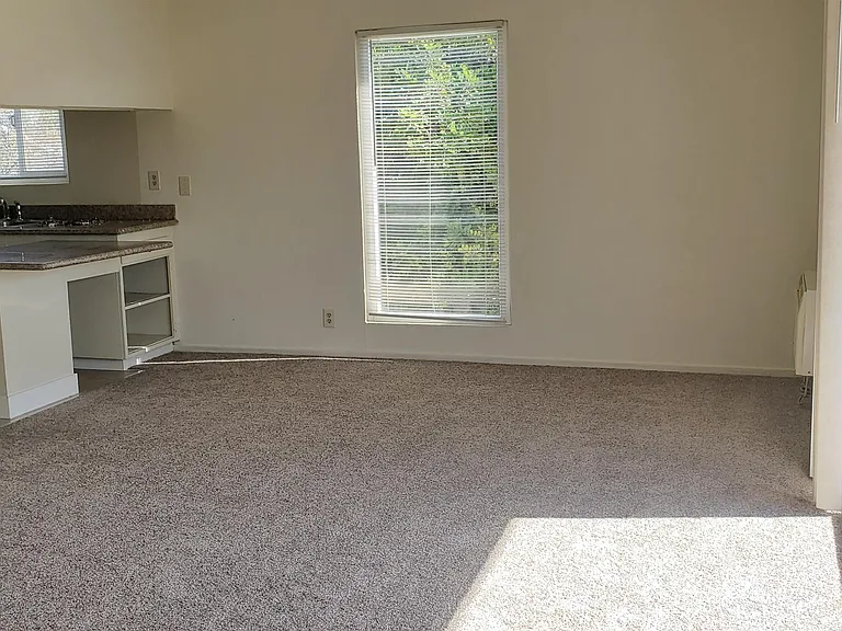 10243 Beardon Dr #3 — Photo 8