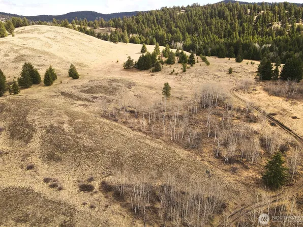 0 NKA Eagle View Road, Oroville, WA 98844