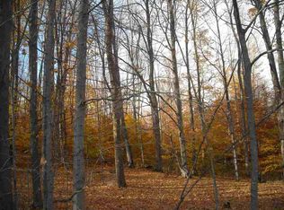 0 Ballard Rd, Benzonia, MI 49616