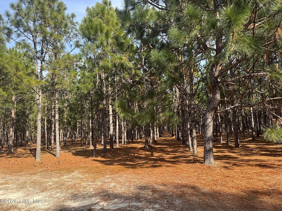 2nd image of 0 Butler Mill Rd Tract 3