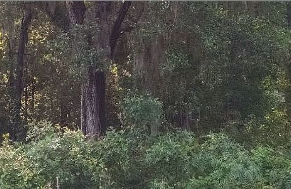 3rd image of 228 Jason Dr