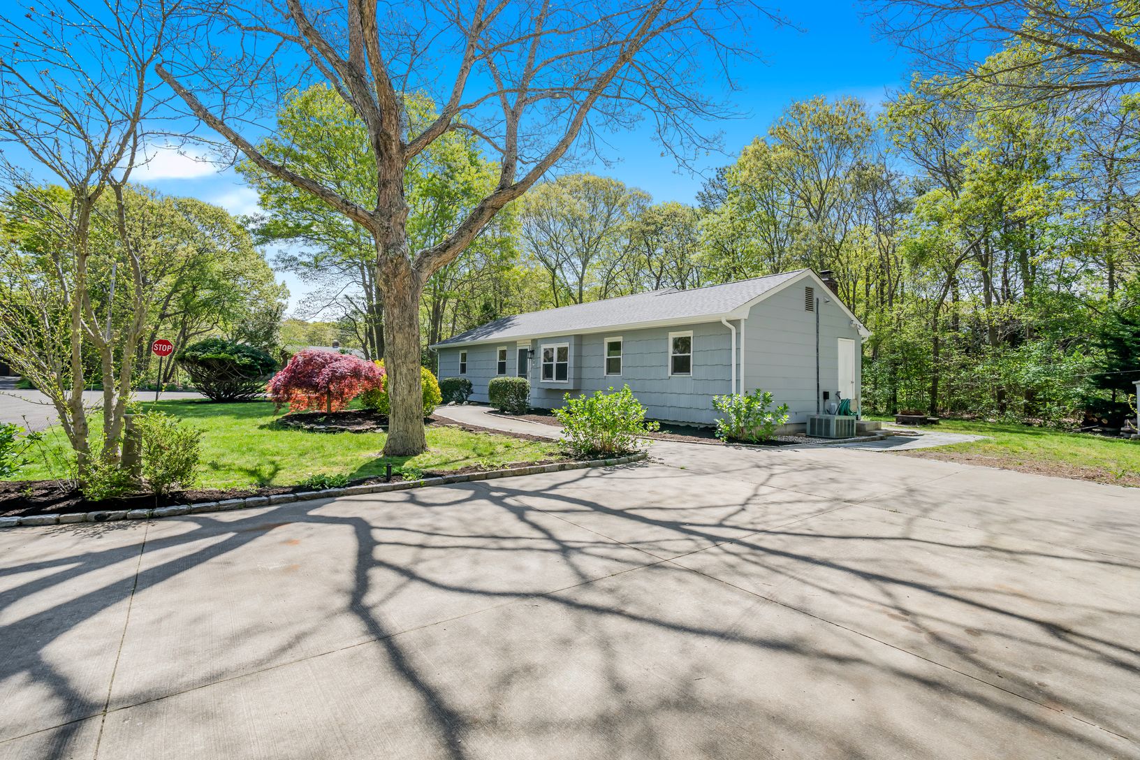 Expansive Driveway
