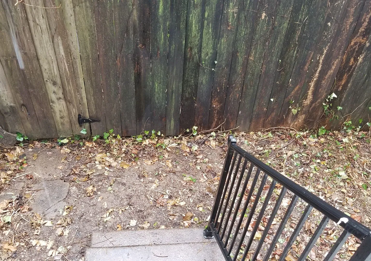 Lovely Home - Mt. Airy — Photo 1