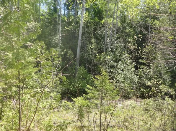 LOT 53 Bay Sands Dr, Wasaga Beach, ON L9Z 1V1