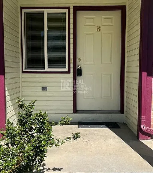 911 Tulip St S #B — Photo 2