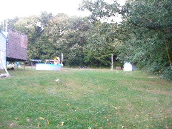 Back yard