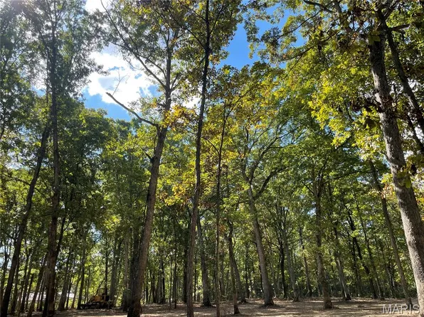 LOT 5 Palmyra Rd, Warrenton, MO 63383