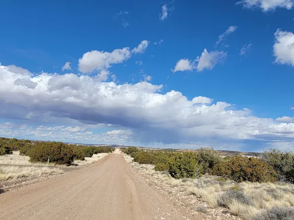 56 County Rd, Concho, AZ 85924