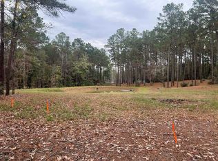 768 County Road 219, Brookeland, TX 75931