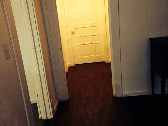 Hallway /w walk in closet