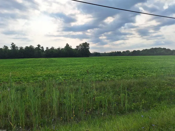 N Road 136 Norrth Rd, North Street, MI 48049