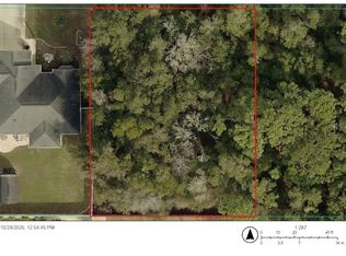 Lots 41 44 Southeast Pl #161, Summerfield, FL 34491